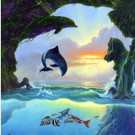 Can you find all seven dolphins?